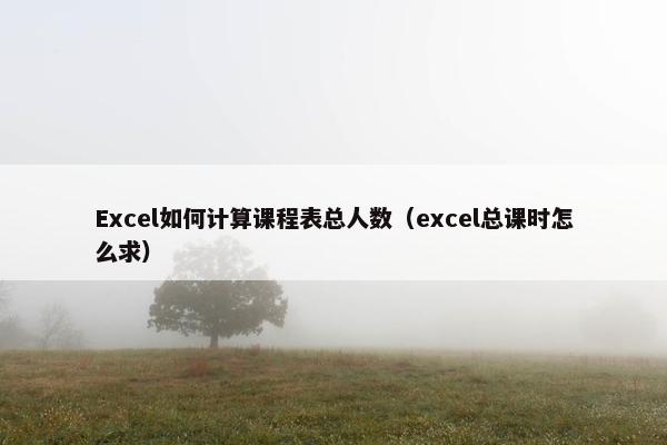 Excel如何计算课程表总人数（excel总课时怎么求）