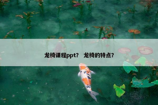 龙椅课程ppt？ 龙椅的特点？