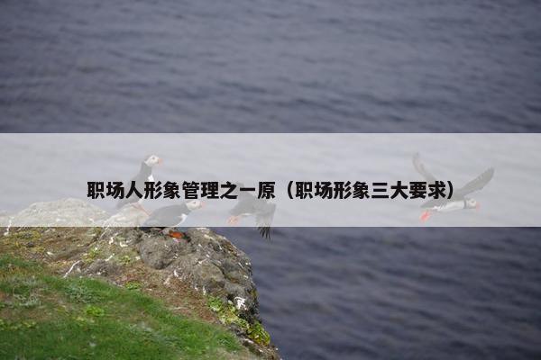 职场人形象管理之一原（职场形象三大要求）