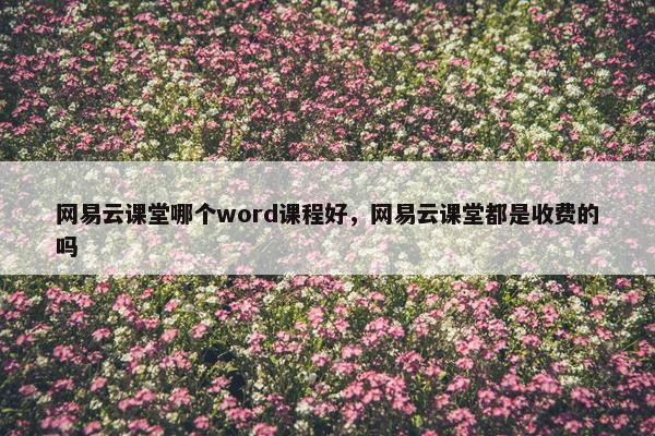 网易云课堂哪个word课程好，网易云课堂都是收费的吗