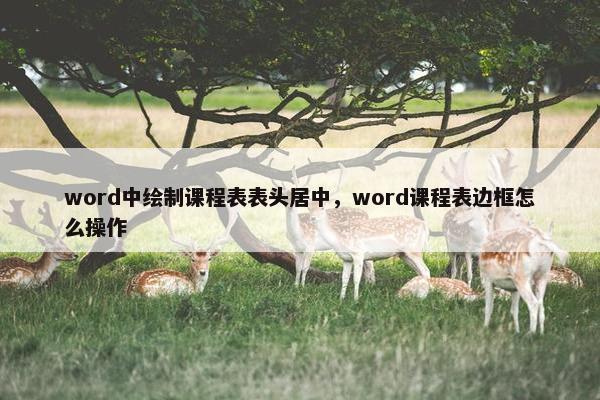 word中绘制课程表表头居中，word课程表边框怎么操作