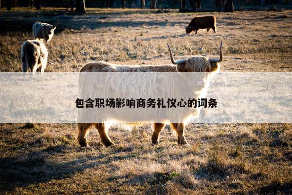 包含职场影响商务礼仪心的词条