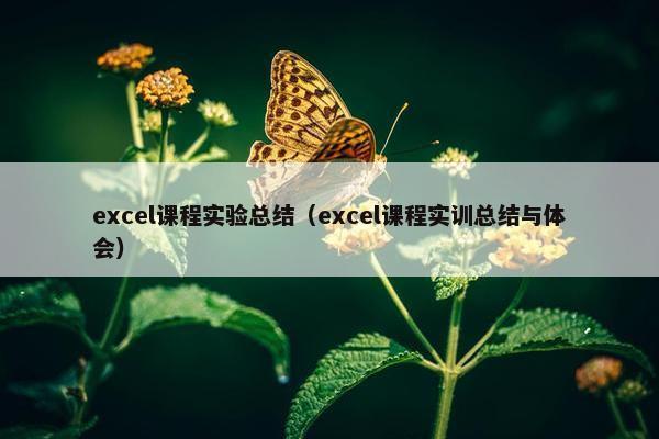 excel课程实验总结（excel课程实训总结与体会）