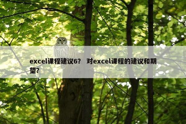 excel课程建议6？ 对excel课程的建议和期望？