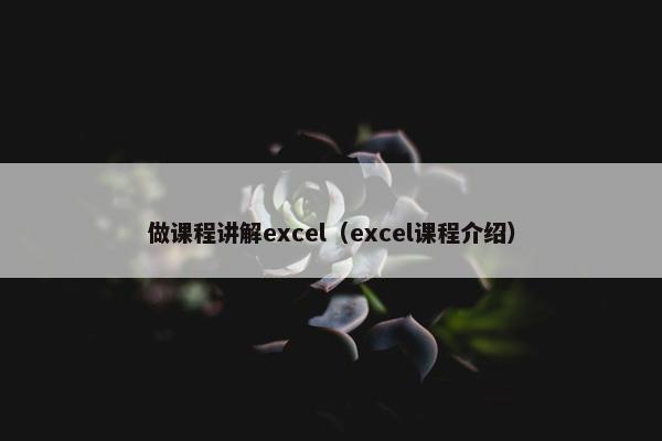 做课程讲解excel（excel课程介绍）