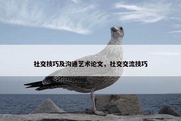 社交技巧及沟通艺术论文，社交交流技巧