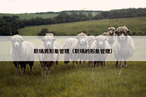 职场男形象管理（职场的形象管理）
