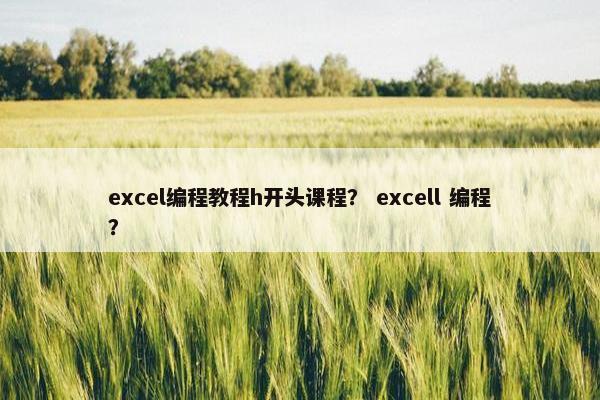 excel编程教程h开头课程？ excell 编程？