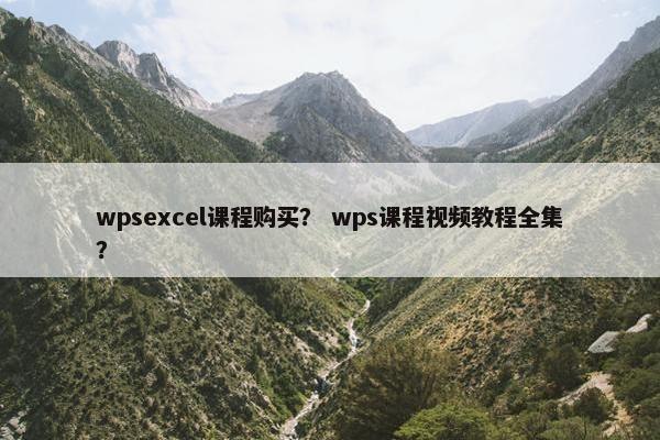 wpsexcel课程购买？ wps课程视频教程全集？