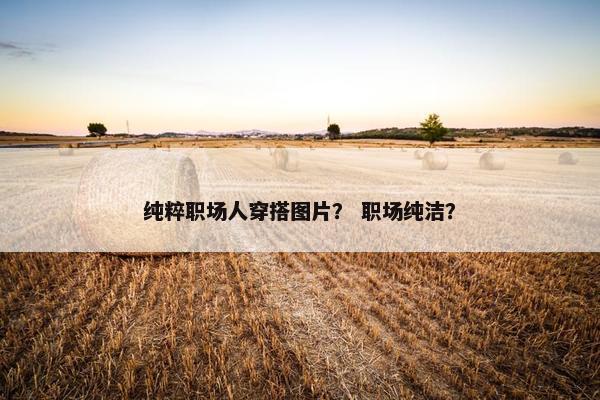 纯粹职场人穿搭图片？ 职场纯洁？