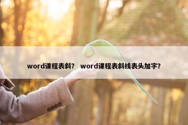 word课程表斜？ word课程表斜线表头加字？