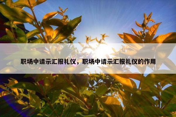 职场中请示汇报礼仪，职场中请示汇报礼仪的作用