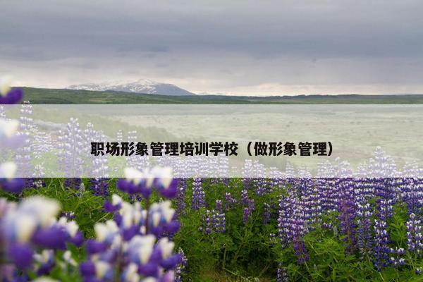 职场形象管理培训学校（做形象管理）