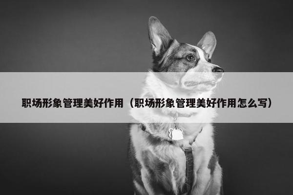 职场形象管理美好作用（职场形象管理美好作用怎么写）