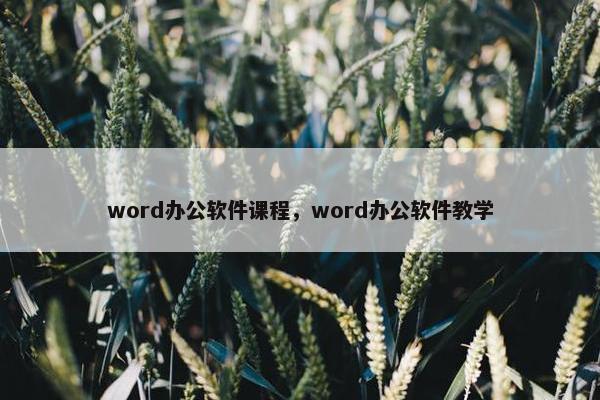 word办公软件课程，word办公软件教学