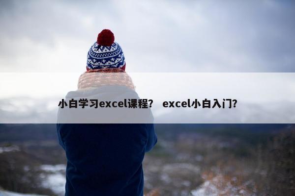 小白学习excel课程？ excel小白入门？