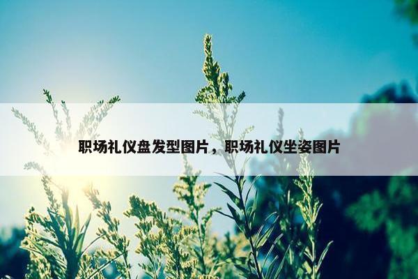 职场礼仪盘发型图片，职场礼仪坐姿图片