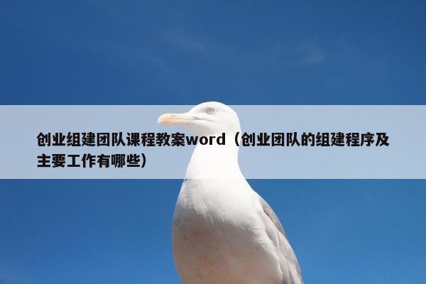 创业组建团队课程教案word（创业团队的组建程序及主要工作有哪些）
