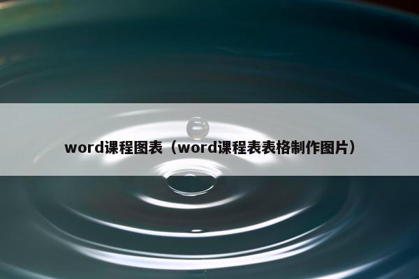 word课程图表（word课程表表格制作图片）