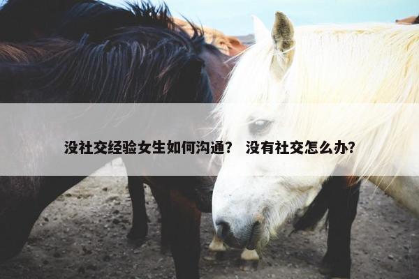 没社交经验女生如何沟通？ 没有社交怎么办？