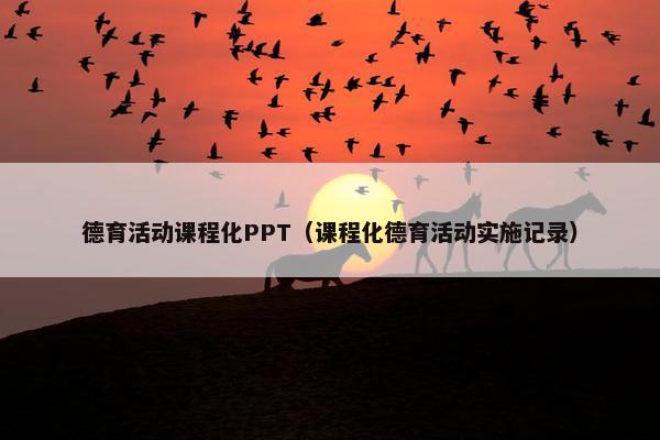 德育活动课程化PPT（课程化德育活动实施记录）