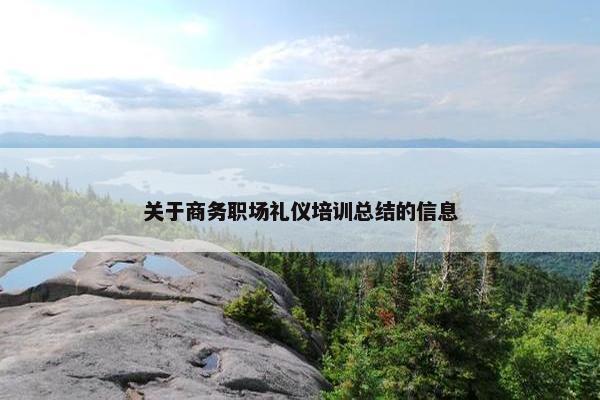 关于商务职场礼仪培训总结的信息
