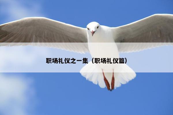 职场礼仪之一集（职场礼仪篇）
