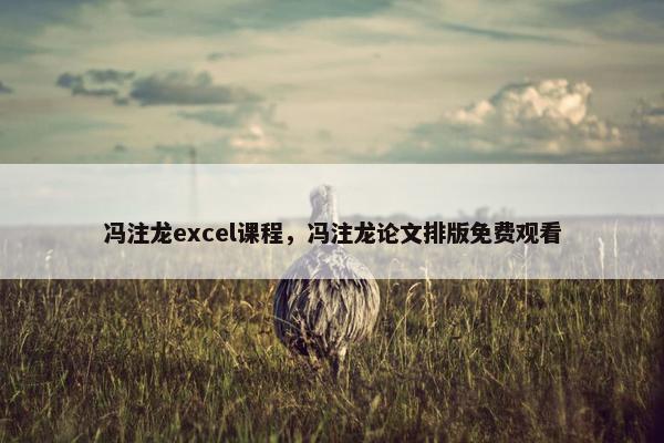 冯注龙excel课程，冯注龙论文排版免费观看