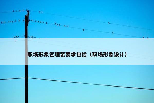 职场形象管理装要求包括（职场形象设计）