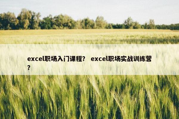 excel职场入门课程？ excel职场实战训练营？