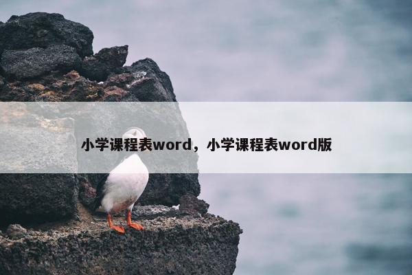 小学课程表word，小学课程表word版