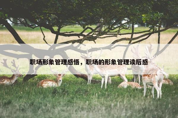 职场形象管理感悟，职场的形象管理读后感