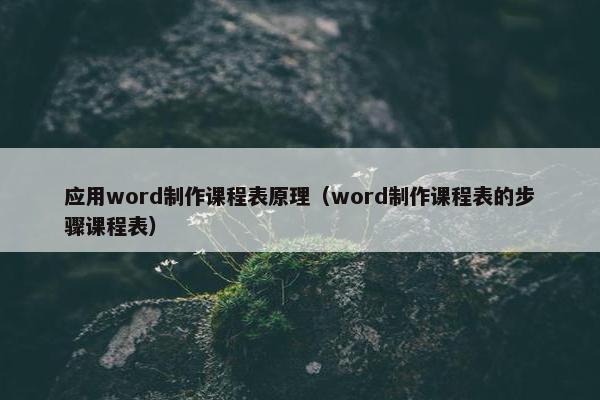 应用word制作课程表原理（word制作课程表的步骤课程表）