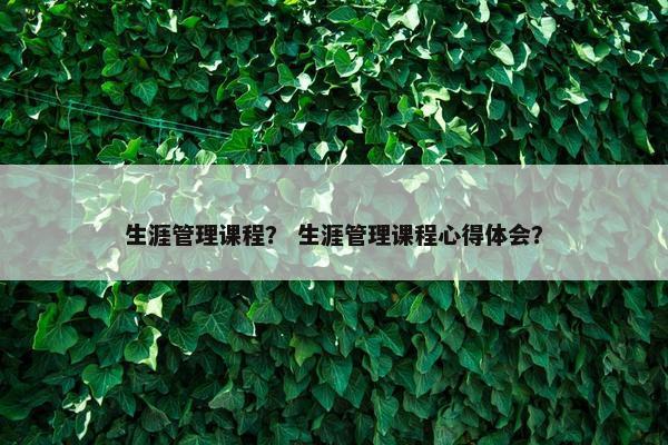 生涯管理课程？ 生涯管理课程心得体会？