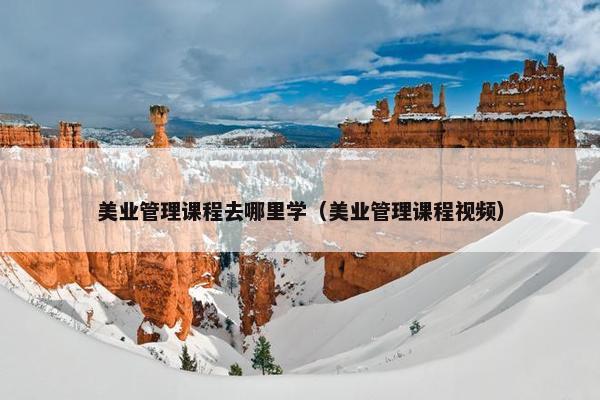 美业管理课程去哪里学（美业管理课程视频）