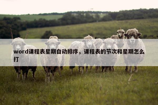 word课程表星期自动排序，课程表的节次和星期怎么打