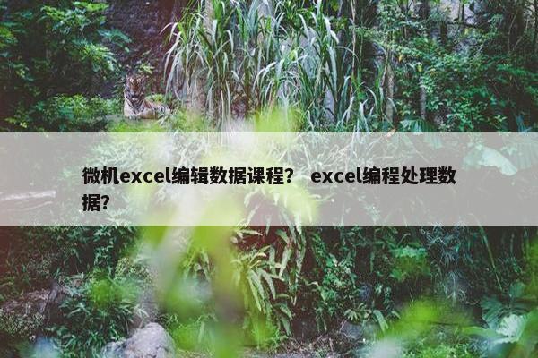 微机excel编辑数据课程？ excel编程处理数据？