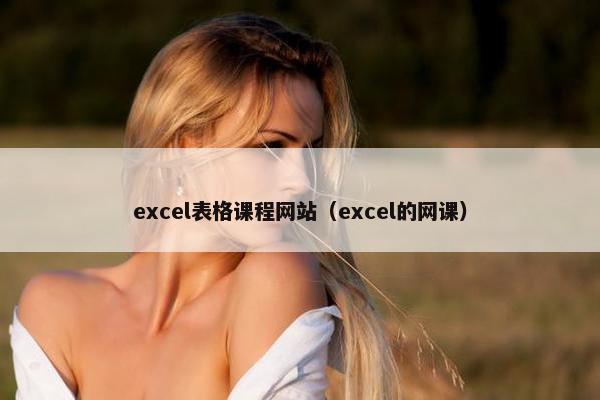 excel表格课程网站（excel的网课）