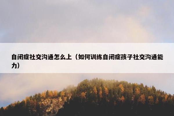 自闭症社交沟通怎么上（如何训练自闭症孩子社交沟通能力）