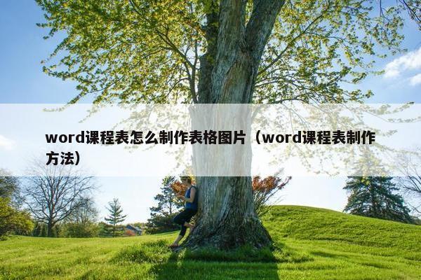 word课程表怎么制作表格图片（word课程表制作方法）