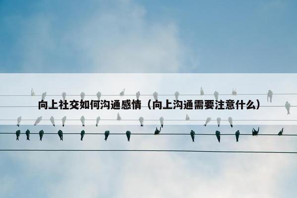 向上社交如何沟通感情（向上沟通需要注意什么）