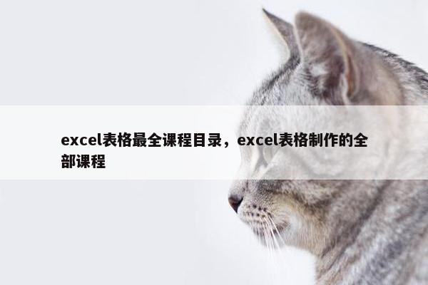 excel表格最全课程目录，excel表格制作的全部课程