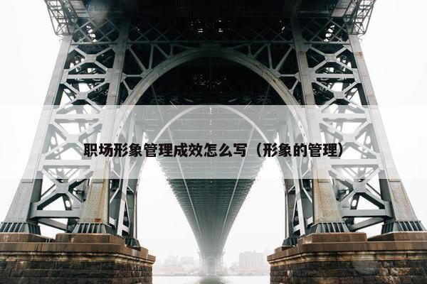 职场形象管理成效怎么写（形象的管理）