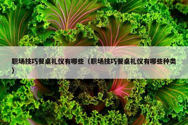 职场技巧餐桌礼仪有哪些（职场技巧餐桌礼仪有哪些种类）