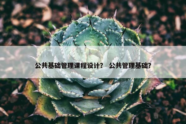 公共基础管理课程设计？ 公共管理基础？