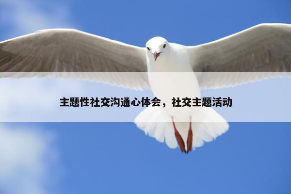 主题性社交沟通心体会，社交主题活动