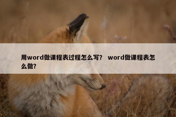 用word做课程表过程怎么写？ word做课程表怎么做？