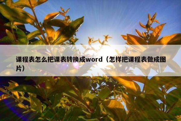 课程表怎么把课表转换成word（怎样把课程表做成图片）