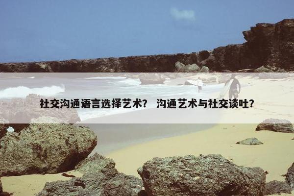社交沟通语言选择艺术？ 沟通艺术与社交谈吐？