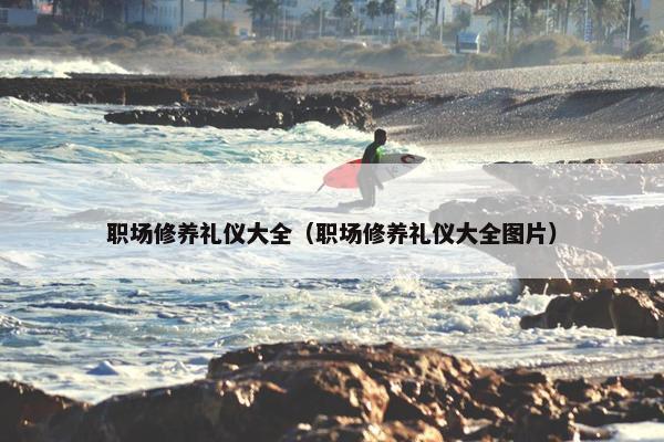职场修养礼仪大全（职场修养礼仪大全图片）